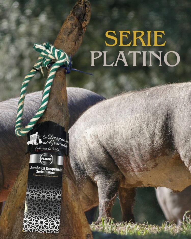 Jamón Serie Platino